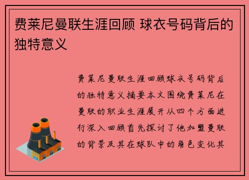 费莱尼曼联生涯回顾 球衣号码背后的独特意义
